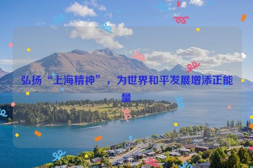 弘扬“上海精神”，为世界和平发展增添正能量