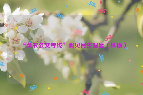 “菜农公交专线”照见民生温度（纵横）