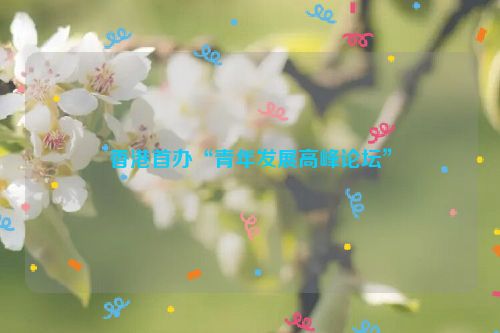 香港首办“青年发展高峰论坛”