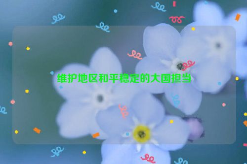 维护地区和平稳定的大国担当