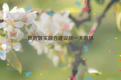 抓好数实融合建设统一大市场