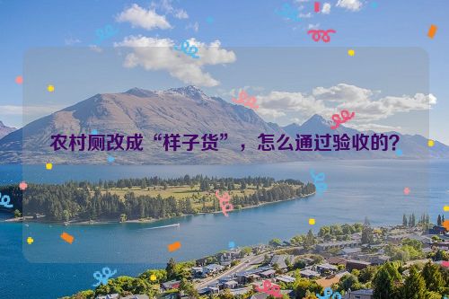 农村厕改成“样子货”，怎么通过验收的？