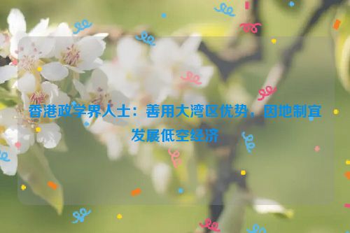 香港政学界人士：善用大湾区优势，因地制宜发展低空经济