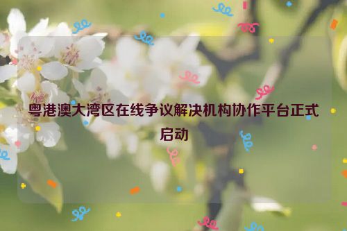 粤港澳大湾区在线争议解决机构协作平台正式启动