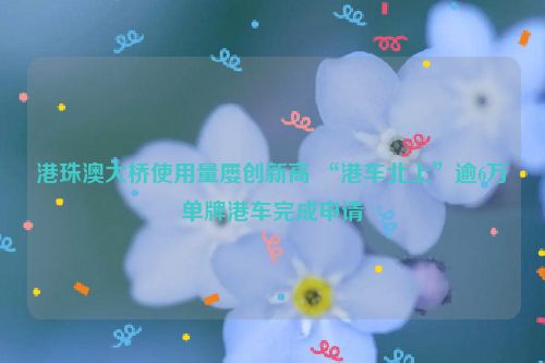 港珠澳大桥使用量屡创新高 “港车北上”逾6万单牌港车完成申请