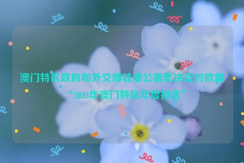澳门特区政府和外交部驻澳公署坚决反对欧盟“2023年澳门特区年度报告”