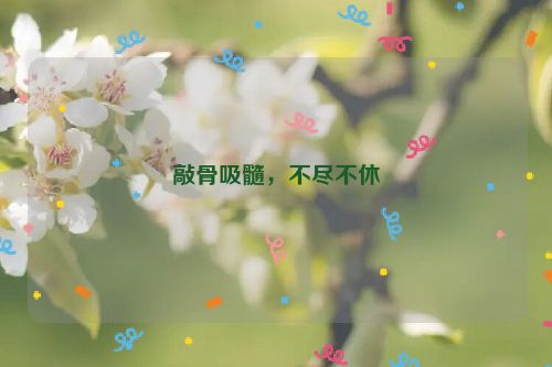 敲骨吸髓，不尽不休