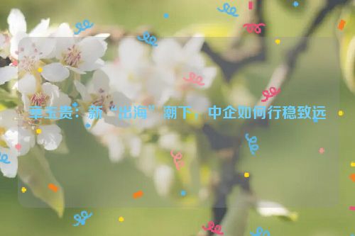 章玉贵：新“出海”潮下，中企如何行稳致远