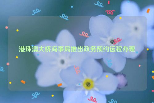 港珠澳大桥海事局推出政务预约远程办理