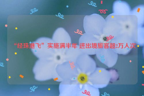 “经珠港飞”实施满半年 进出境旅客超2万人次