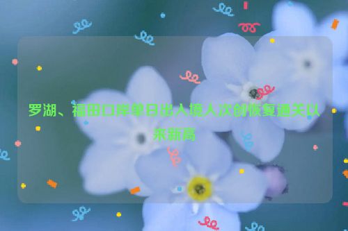 罗湖、福田口岸单日出入境人次创恢复通关以来新高