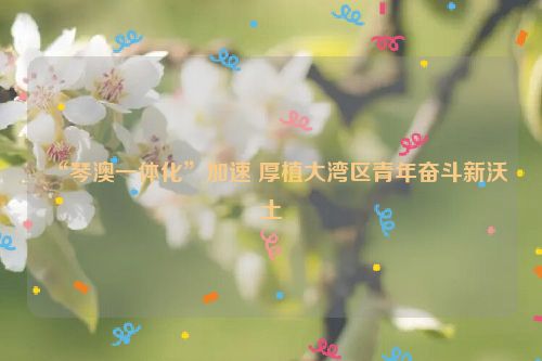 “琴澳一体化”加速 厚植大湾区青年奋斗新沃土