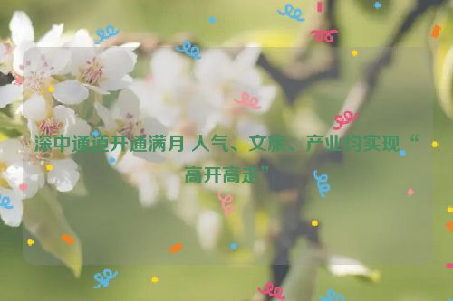 深中通道开通满月 人气、文旅、产业均实现“高开高走”
