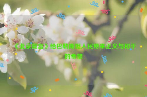 《北京宣言》给巴勒斯坦人民带来正义与和平的希望