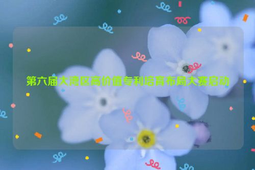 第六届大湾区高价值专利培育布局大赛启动