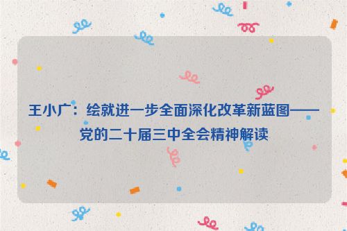 王小广：绘就进一步全面深化改革新蓝图——党的二十届三中全会精神解读