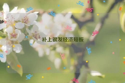 补上银发经济短板