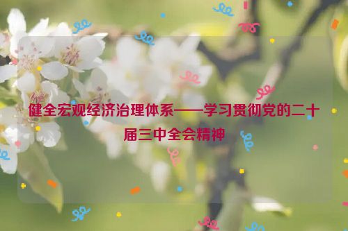 健全宏观经济治理体系——学习贯彻党的二十届三中全会精神