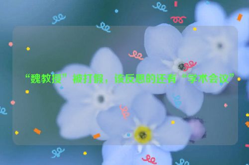 “魏教授”被打假，该反思的还有“学术会议”