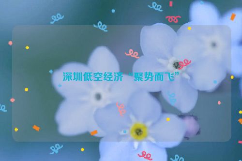 深圳低空经济“聚势而飞”